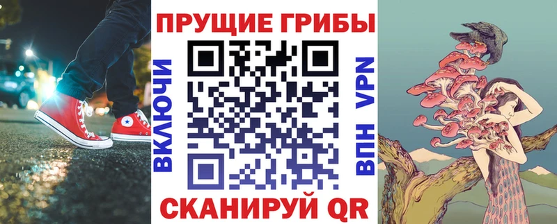 дарк нет какой сайт  купить   Покров  Псилоцибиновые грибы прущие грибы 